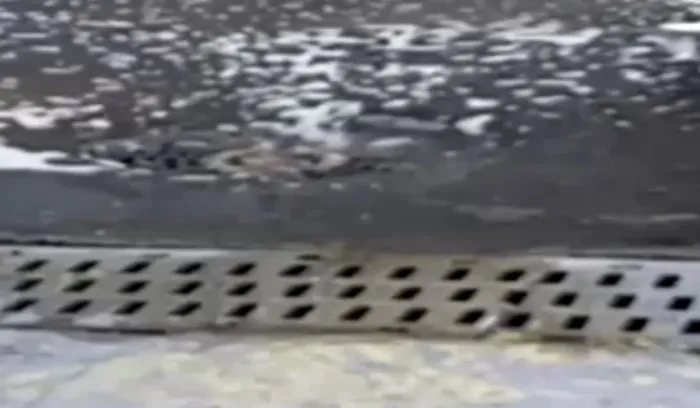 1739179347573.jpg İzmir’in doğasına zarar veren sızıntılar, çevredeki yaşamı olumsuz etkiliyor. (DHA)