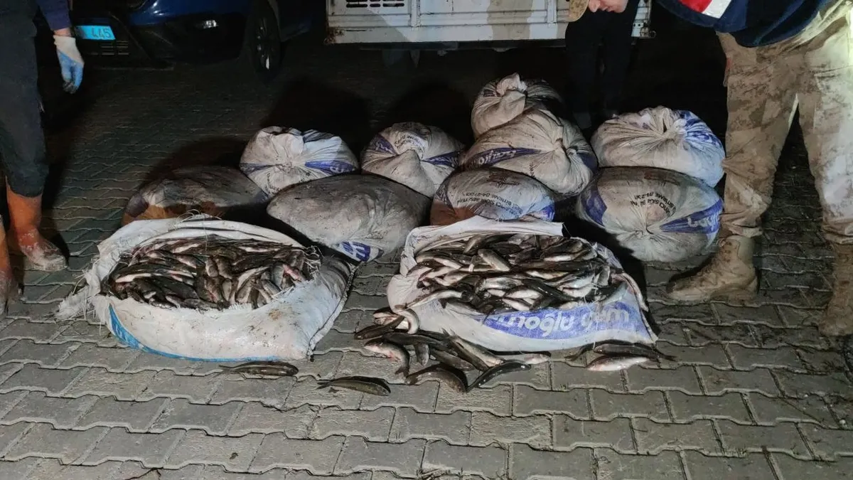 Van'da 1,8 ton inci kefali ele geçirildi