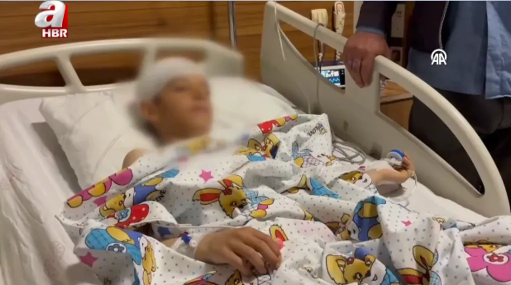 Van'da başıboş köpek dehşeti