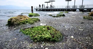 Tunç Soyer’e ünlü profesörden net tavır: Tam bir facia! | İzmir Körfezi’nde kirlilik 20 yılın doruğunda!