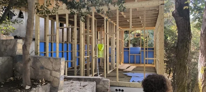 Vaniköy skandalında yeni gelişme! CHP’li İBB’nin göz yumduğu belgelendi: Ağaç kıyımına basit onarım kılıfı