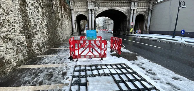 CHP’li İBB asırlık çınarları tek tek kesti! İhmal iddiası: Bakım budamaları hastalığın yayılmasına neden oldu