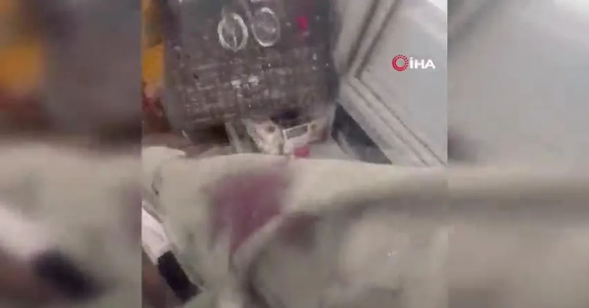 Uçakta akılalmaz olay! Kanlar içinde kaldı