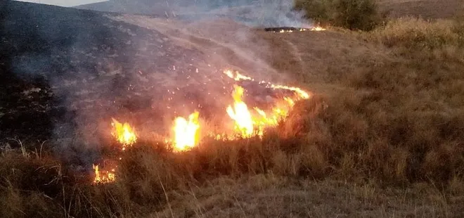 Uzmanlardan dikkat çeken uyarı: Anız yangınlarına dikkat