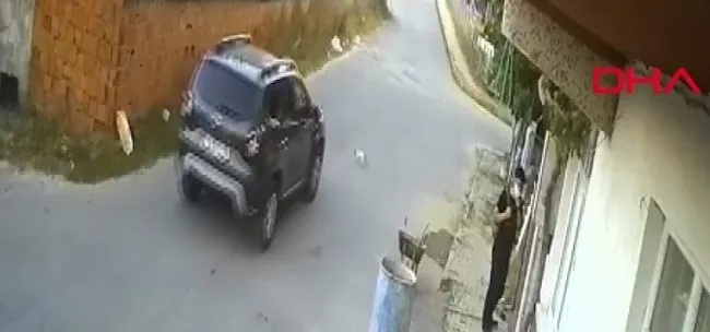 İstanbul’da kediyi ezen sürücü kamerada - 1