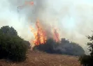 Kulada makilik yangını ormana sıçradı
