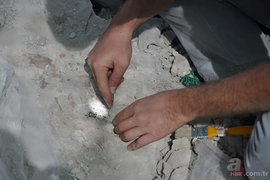 Kapadokya'da 9 milyon yıllık fosiller gün yüzüne çıkarılıyor 4