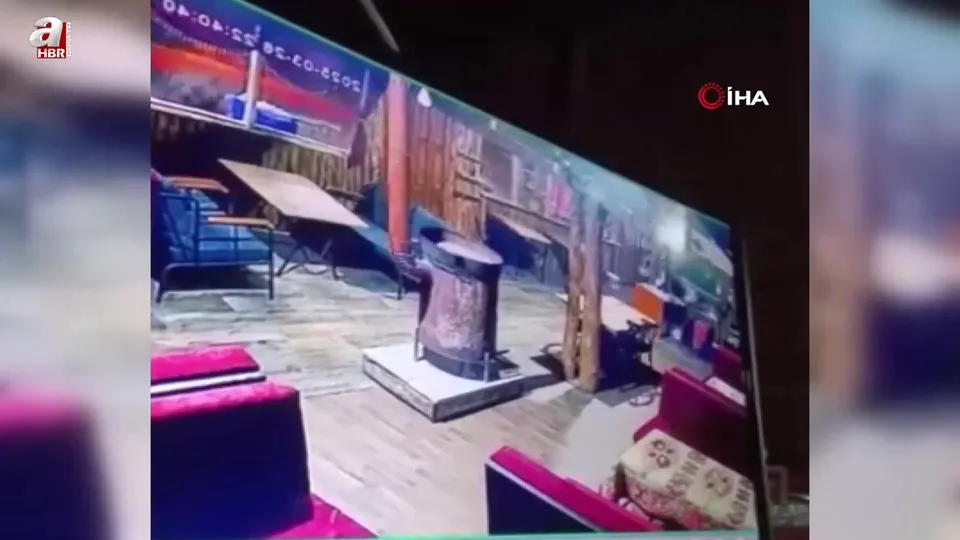 İşletmeyi ayı bastı! O anlar kamerada