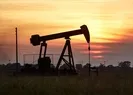 ABDnin petrol rezervlerinin Türkiyeye geleceği iddiası