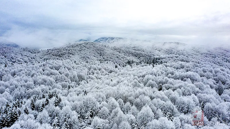 Altay Kar Fırtınası geldi: İstanbul için yeni uyarı! Saat verildi! 19-20 Şubat MGM hava durumu raporu 10
