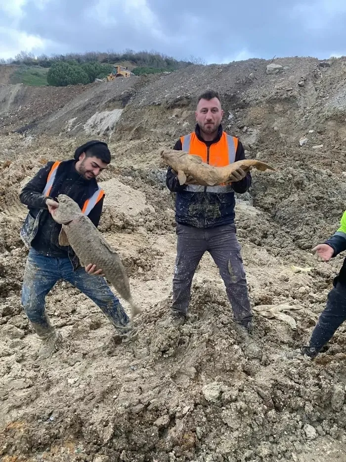 mavi-golde-hafriyat-katliami-binlerce-canli-diri-diri-gomuldu-1765786381909.jpeg (foto: ahaber.com.tr ARŞİV)