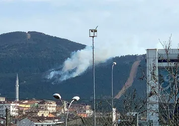 İstanbul'da orman yangını