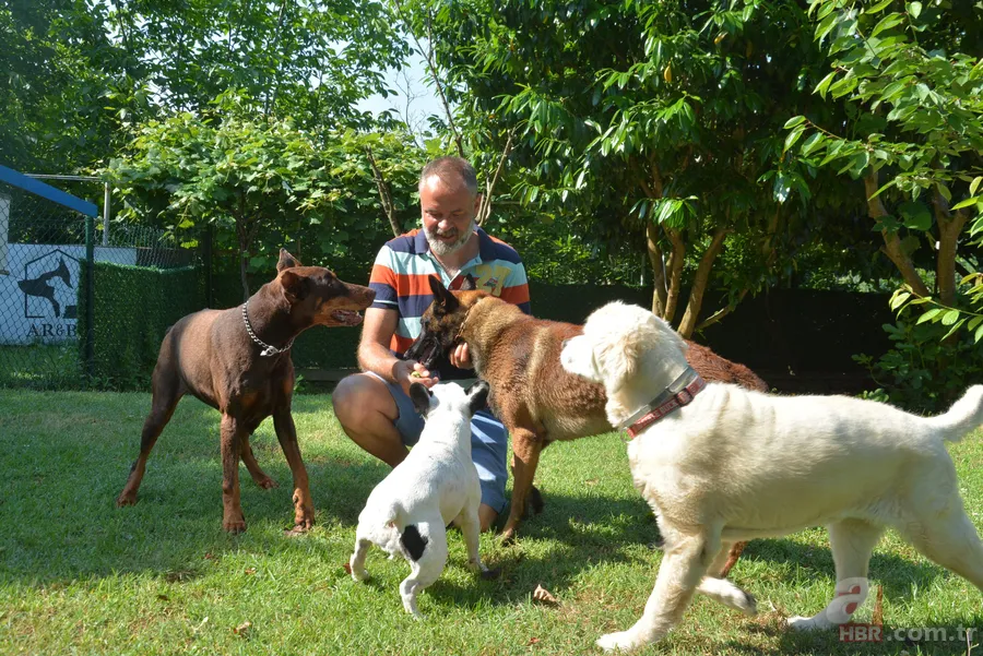 Arkeologlar açıkladı: En eski evcil köpek Türkiye’de 4