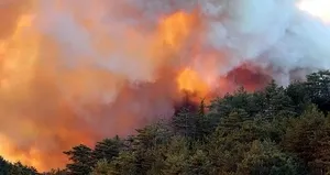 Yangınzedeler yaşadıkları korku dolu anları anlattı!