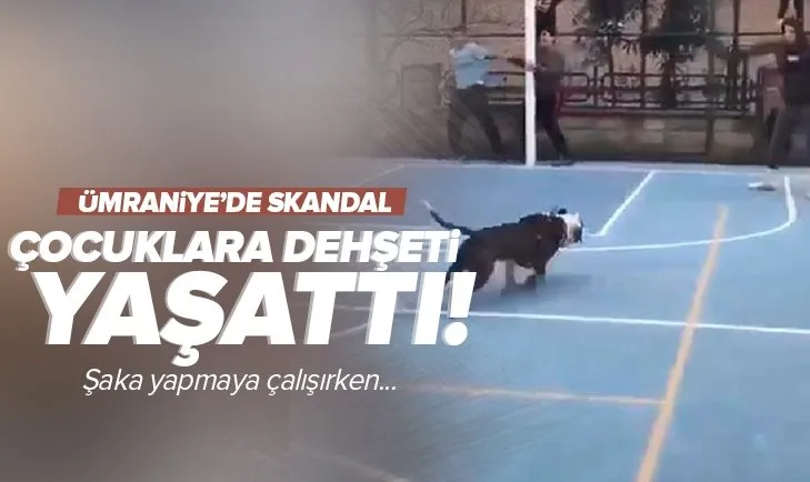 Pitbulla şaka yapmak isterken çocuklara dehşeti yaşattı! Ümraniye’de skandal olay