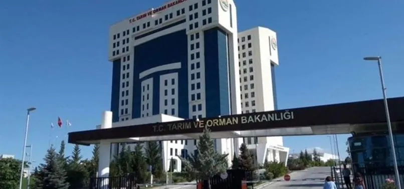KPSS yok! Bakanlık ilkokul mezunu 1.500 personel alacak! Başvurular İŞKUR üzerinden toplanmaya başladı