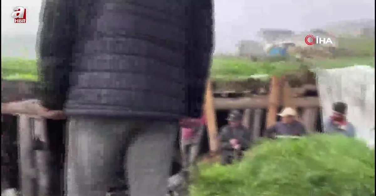 Ahır çöktü hayvanlar enkaz altında kaldı