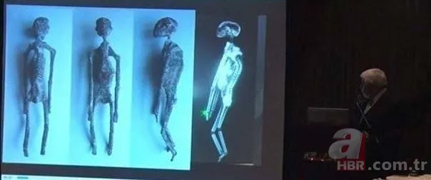 Mars'ta 'Ayı' keşfedildi! NASA o görüntüleri paylaştı 13