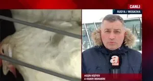 Kuş gribi insana geçer mi?