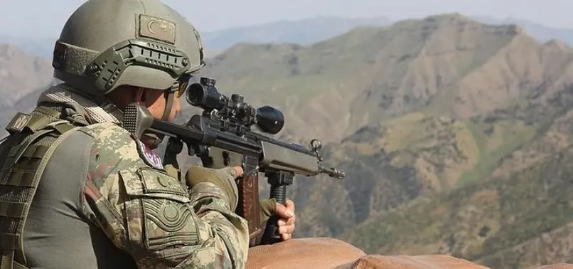 Son dakika | Terörle mücadelede PKK'ya bir operasyon daha!