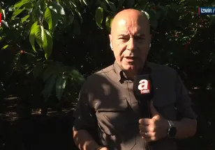 İzmir'de meyve bahçeleri renklendi