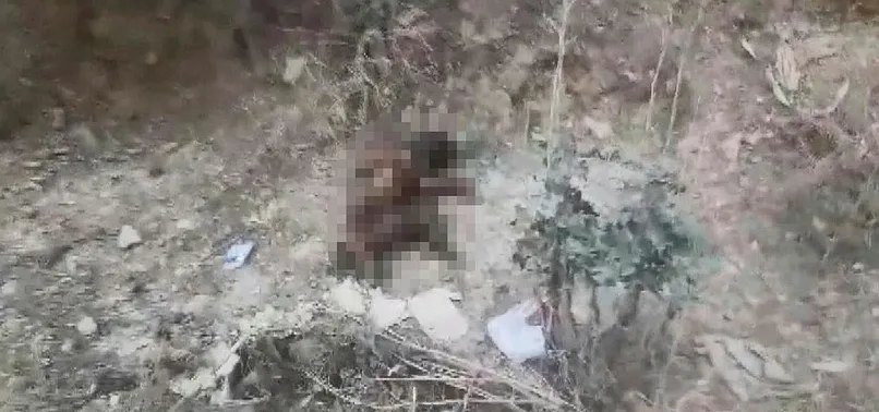 Bursa'da kan donduran vahşet! Yavru köpeği ayaklarını kesip yaktılar