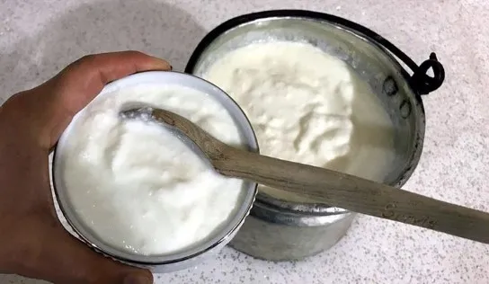 Taş gibi yoğurt yapmanın sırrı buymuş! Evde yoğurt mayalama yöntemi...