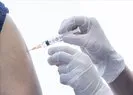 Hangi aşı daha etkili? BioNTech mi, Sinovac mı?