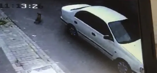 3 aylık köpeği ezip yoluna devam etti