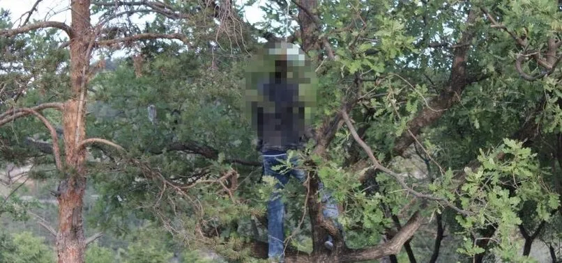 Kayseri’de mesire alanında korkunç görüntü! Ağaca asılı ceset bulundu