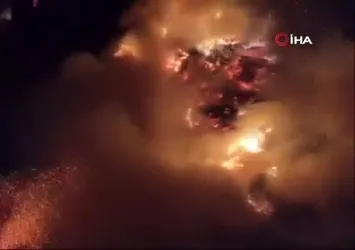 Kars'ta 2 bin 500 balya ot kül oldu