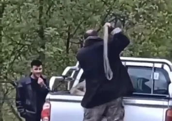 Köpeğe halatla şiddet uygulayan şahıs gözaltında