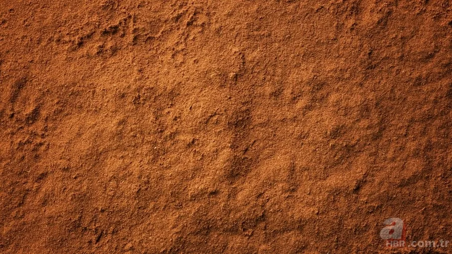 Kahvenize 1 kaşık ekleyin: 7 günde 3 kilo yağ yakın! Zayıflama sırrı ortaya çıktı 4