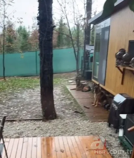 Ceyda Düvenci'nin eski eşi Bülent Şakrak'tan radikal karar! Bakın artık nerede yaşıyor... 4