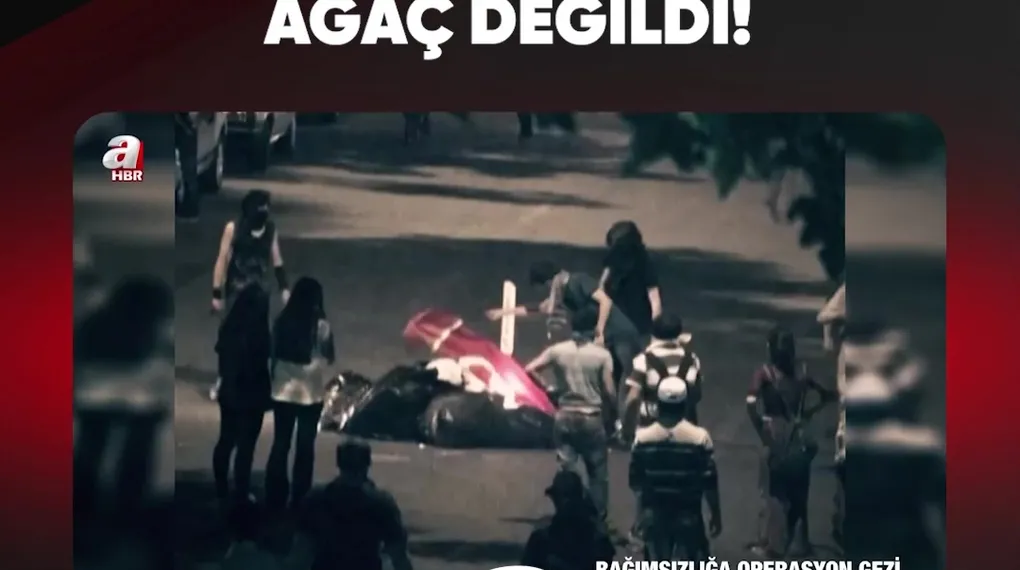 MESELE HİÇBİR ZAMAN AĞAÇ DEĞİLDİ!