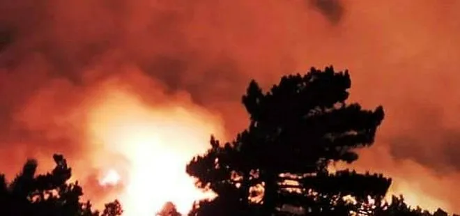 İzmir’de çıkan orman yangını Balıkesir’e sıçradı