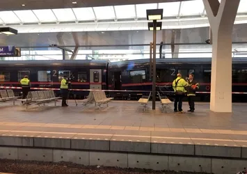 Avusturya'da iki tren çarpıştı
