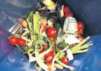 Almanya'da kriz giderek büyüyor! Çöpten yemek almaya izin çıkıyor