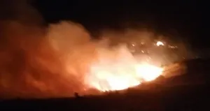 Siirt’teki yangın kontrol altına alındı