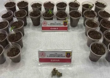 Bagajdan bardak bardak kenevir çıktı: Uyuşturucuyla yakalanan şüpheli tutuklandı