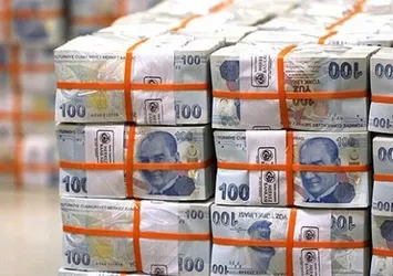 "Türkiye Varlık Fonu birçok katkı sağlayacak"