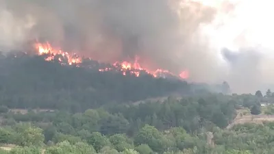 Ankara’da orman yangını