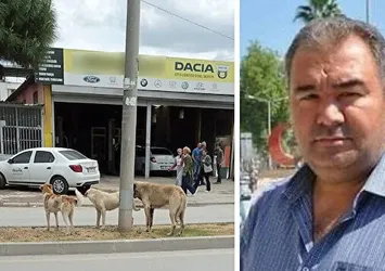 Sokak köpekleri yüzünden bir ölüm daha!