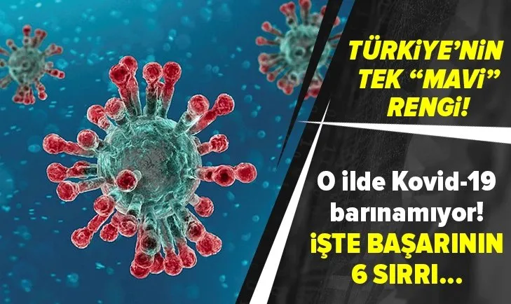 Türkiye'nin tek mavi rengi Şırnak oldu | İşte başarının sırrı...