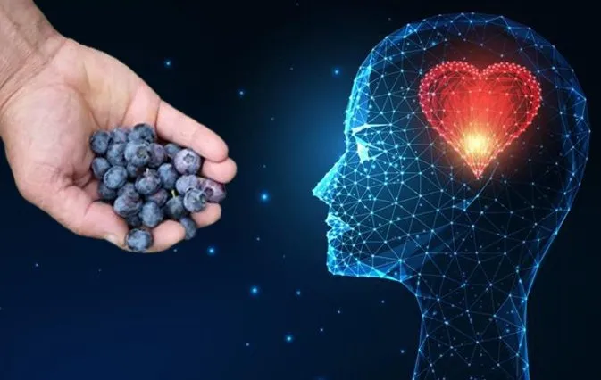 Hafızayı zehir gibi yapıyor! Alzheimer’dan koruyan gıda: Günde 1 porsiyon...