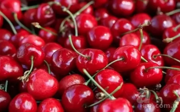 İbrahim Saraçoğlu'ndan ilaç gibi tavsiye! Karın şişkinliğini anında geçiriyor! Meğer bağırsaklara da iyi geliyormuş... 11