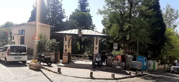 Ağaç düşmanı CHP’li İBB! Bölge halkı alev püskürdü: Beşiktaş’ta oksijensiz kaldık