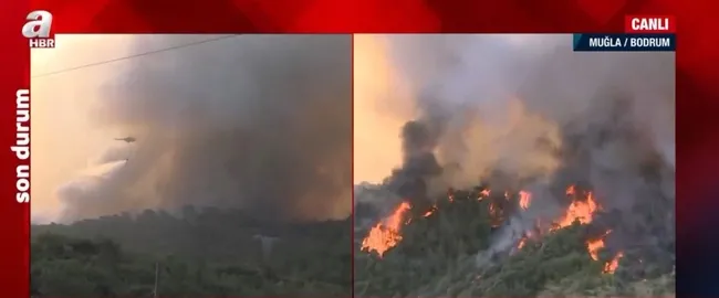 Muğla’daki Çökertme’de yangın büyüdü! Bodrum-Ören yolu kapandı A Haber ekibi o anları anbean aktardı