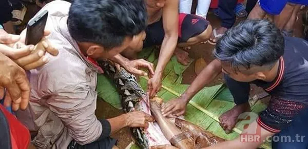 Dev piton 54 yaşındaki kadını yuttu! İşte kan donduran görüntüler 2