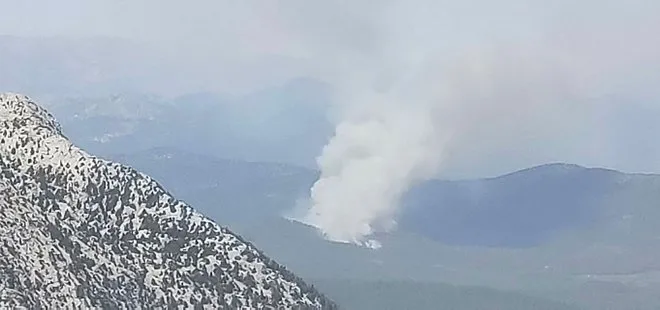 Antalya’da korkutan orman yangını! Ekipler bölgede